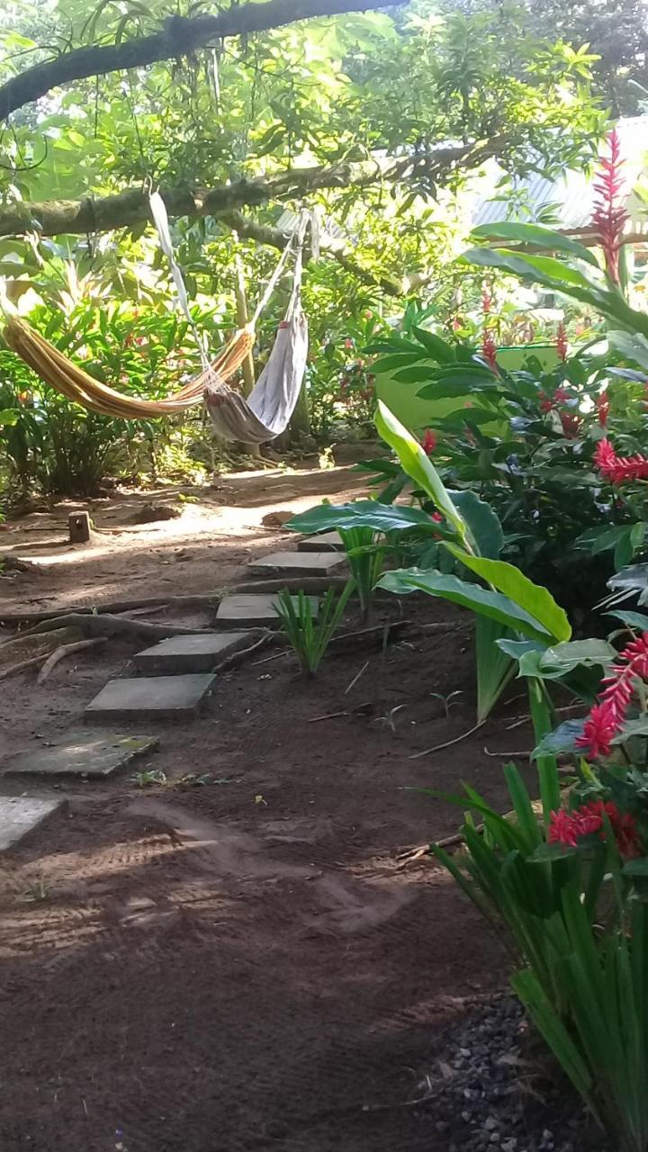 casa chilamates Tortuguero Bagian luar foto