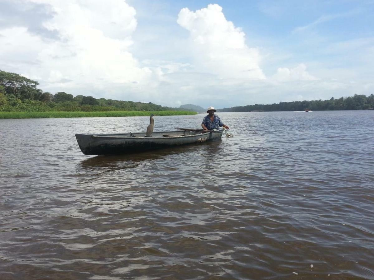 casa chilamates Tortuguero Bagian luar foto