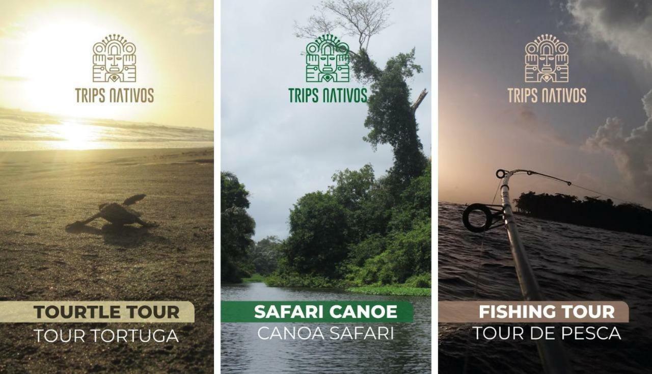 casa chilamates Tortuguero Bagian luar foto
